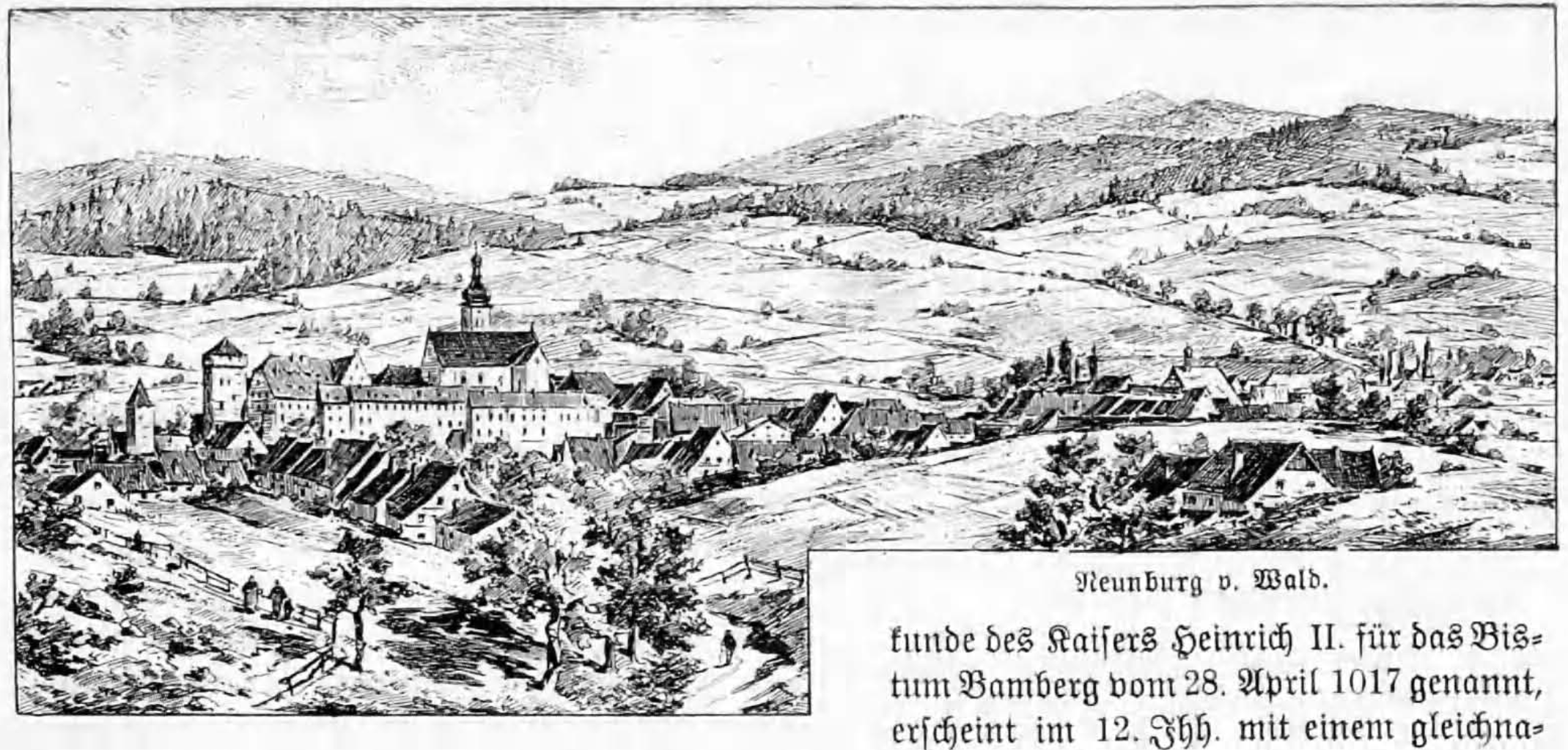 Holzstich von Neunburg aus "Geographisch-historisches Handbuch von Bayern" von Wilhelm Götz"